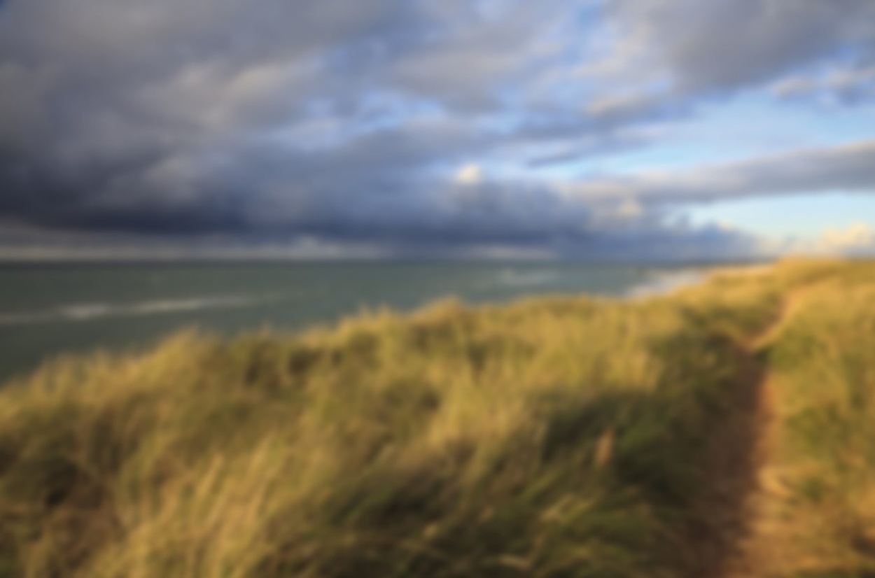 Windkraft bei Elektroservice Weber in Kirchsteitz